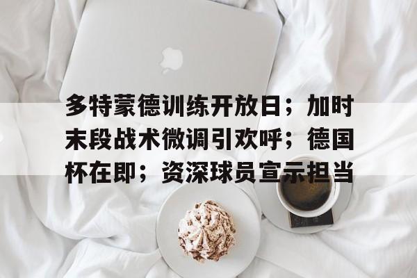 多特蒙德训练开放日；加时末段战术微调引欢呼；德国杯在即；资深球员宣示担当的简单介绍